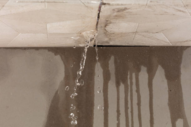 Professional Water Extraction technician working in Godfrey, IL